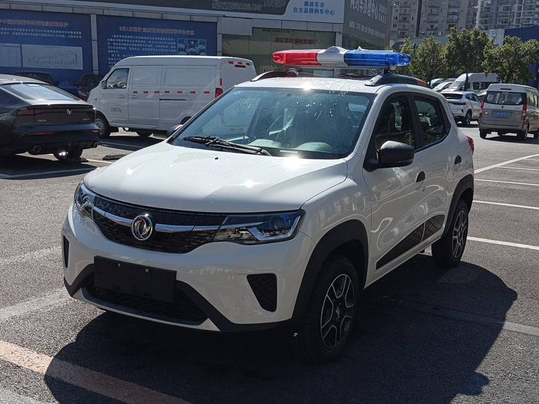 2022款項電動巡邏車 4座SUV